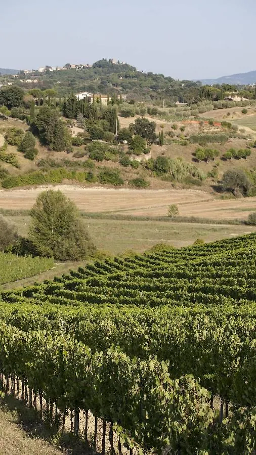 Alloggio per agriturismo Agriturismo San Gregorio Chiusi