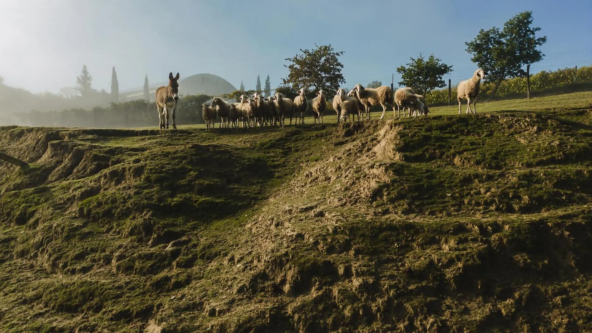 Agriturismo San Gregorio Villa Chiusi Farm stay