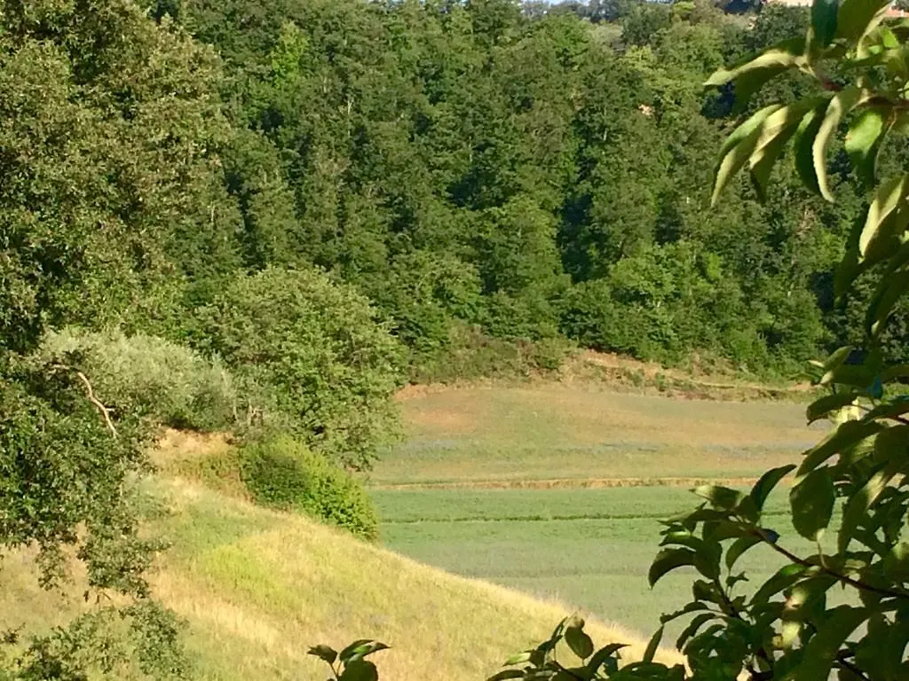 Agriturismo San Gregorio Chiusi 0*,