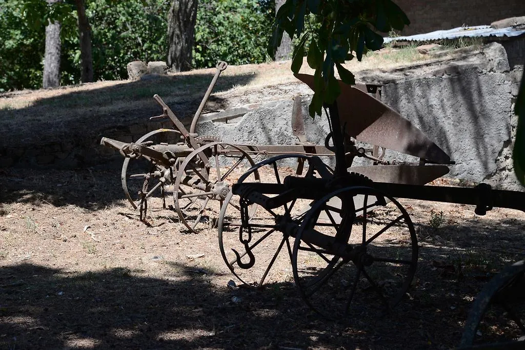 Alloggio per agriturismo Agriturismo San Gregorio Chiusi Italia