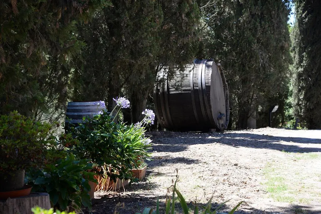 Agriturismo San Gregorio Chiusi