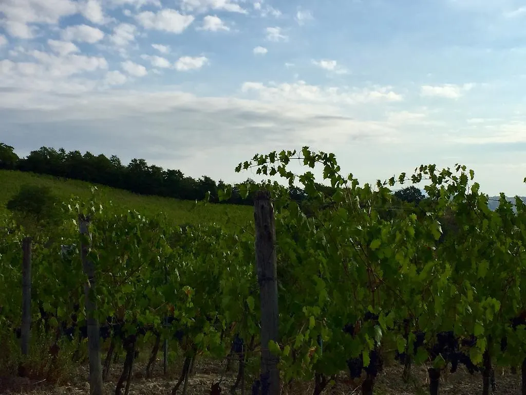 Agriturismo San Gregorio Chiusi 0*,  Italia