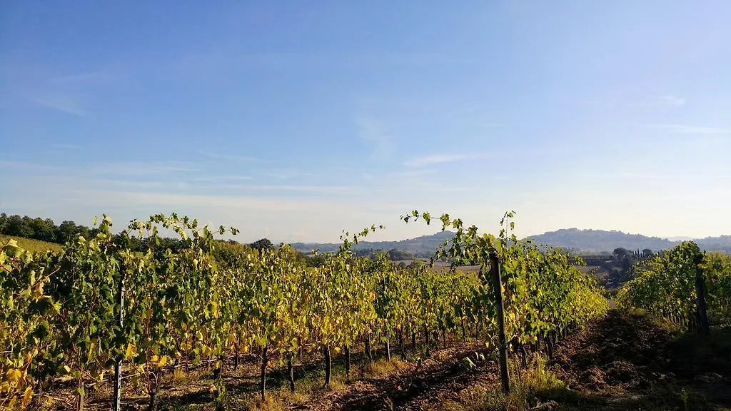 Alloggio per agriturismo Agriturismo San Gregorio Chiusi Italia