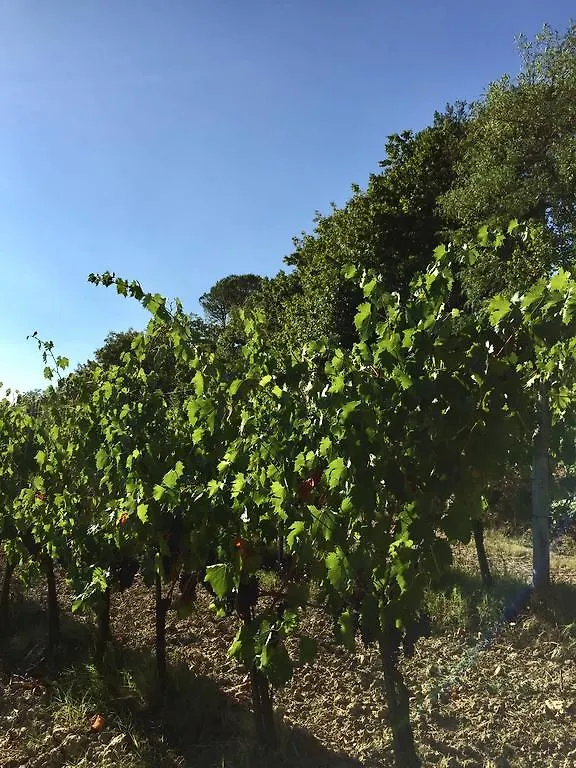 Agriturismo San Gregorio Chiusi Alloggio per agriturismo