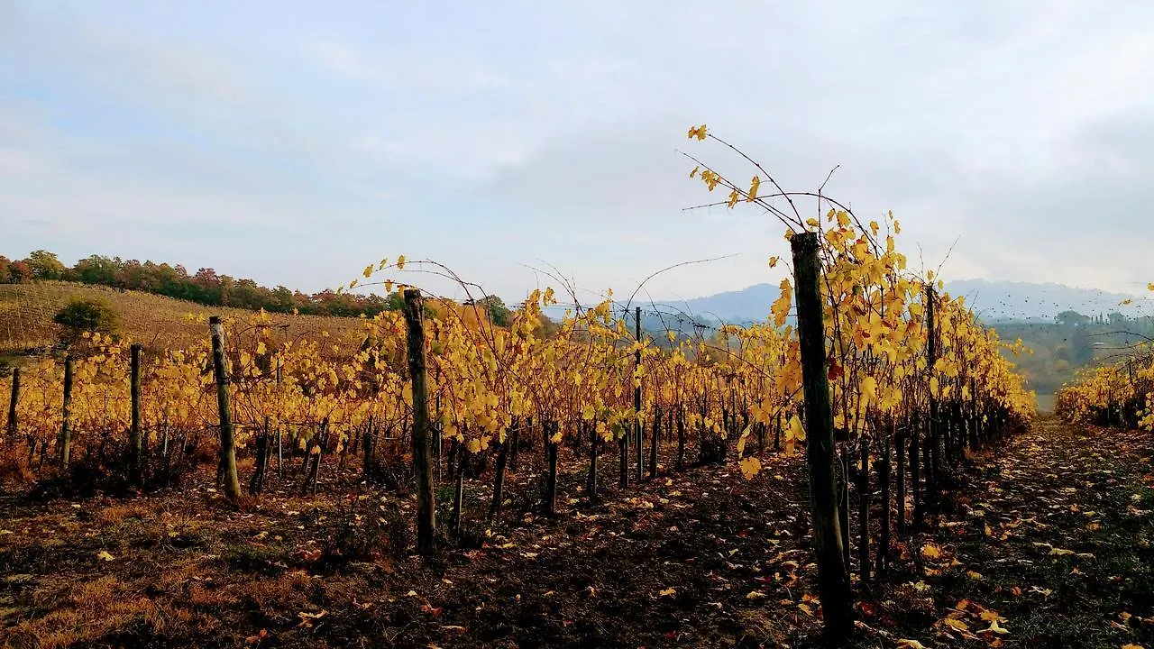 Alloggio per agriturismo Agriturismo San Gregorio Chiusi